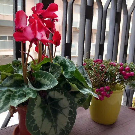 La Valigia Sul Letto Bed & Breakfast Catania